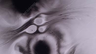 Dye blot wet blob splotch black paint drop flow