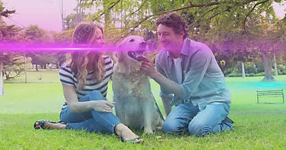 Smiling couple petting golden retriever in grassy park, with park bench and tree trunks