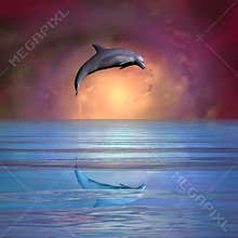 Leaping Dolphin
