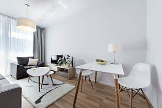 Modern interior design room in scandinavian style