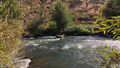 Wide, fast-moving river with rapids flows through a sunlit, rugged hillside forest landscape
