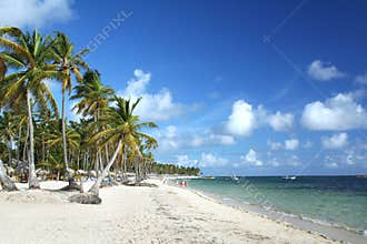 Caribbean tropical resort beach