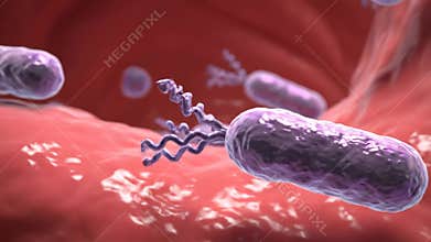 Exploring the Microscopic World Animated View of Bacteria within Biological System Detailed