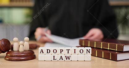 Exploring adoption law with a focus on responsible practices in a legal setting
