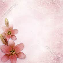 Wedding background with lily