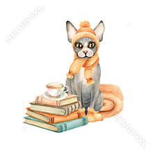 Sphynx cat in knitted hat, scarf, socks sits next to stack of books, cup of tea. Hairless Kitty in warm orange clothes