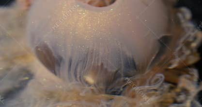 Dripping glitter defocused art splash shimmer ink