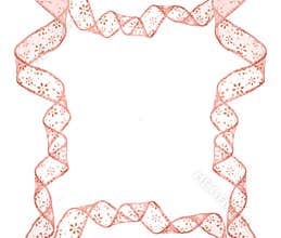 Pink bow frame