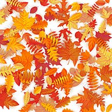Background of colored wet autumnal maple leaves. EPS 10