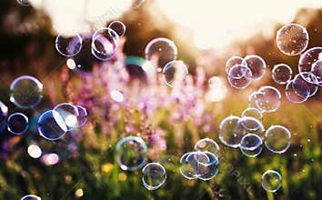 Beautiful natural background with summer clear green meadow with pink flowers and soap bubbles brightly shimmer and fly in the air