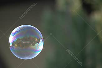 Soap bubble