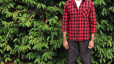 Farmer with hat smiling in coffee plantation field landscape
