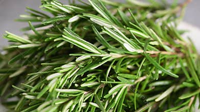 Fresh rosemary herbs closeup view