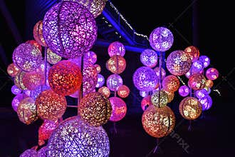 Fairy tale forest with colorful illumination