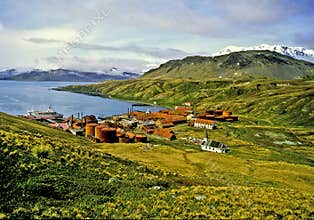 Grytviken, South Georgia