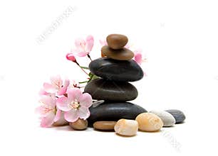 Zen / spa stones with flowers isolated on white background