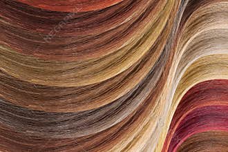 Hair colors palette as background. Dyed samples