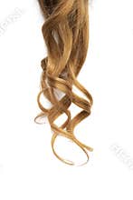 Natural wavy brown hair on white background