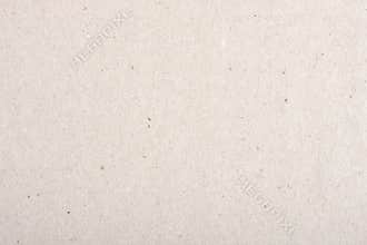 Backgrounds of light cardboard.