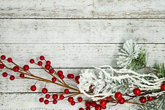 White flocked branches, twigs and berries, isolated on white wood background. Useful for Christmas and winter holiday backgrounds
