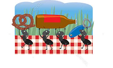 Ants at a Picnic