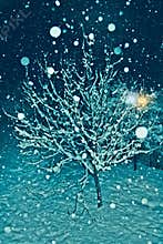 One tree covered with snow in a cold winter night