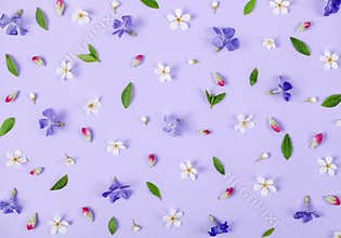 Floral pattern made of spring white and violet flowers, green leaves and pink buds on pastel lilac background. Flat lay