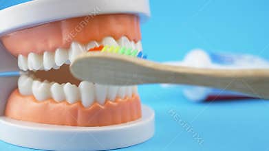 How to brushing teeth by rainbow bamboo toothbrush