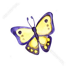 Beautiful yellow violet butterfly, watercolor, isolated on a white