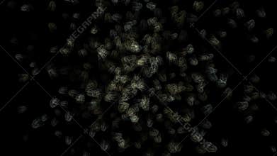 Microbes multiply are divided moving.