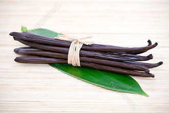 Bundle of vanilla bean pods