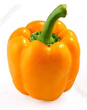 Orange bell pepper
