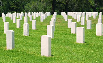 Headstones in a National Cemetery