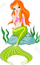 Beautiful Mermaid
