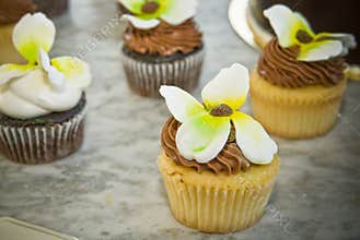 Flower Cupcakes