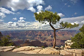 Grand Canyon