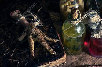 A witchery stuff: multiple tincture bottles, bunches of dry healthy herbs, stack of ancient ritual books, amulets, candles...