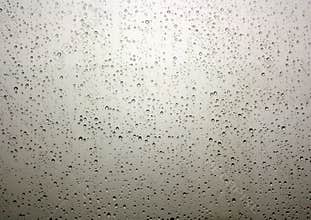RAIN DROPS