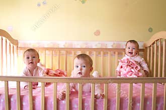 Baby Girls in Crib - Triplets