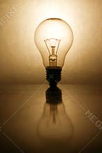 Bulb