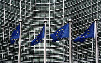 European Union Flags