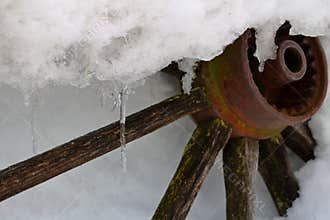 Snowy Wagon Wheel