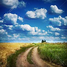 Summer country road and wheath fields.
