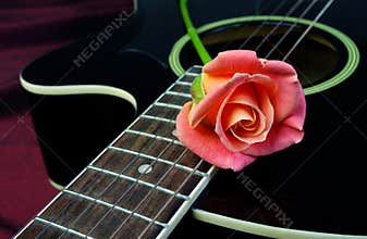 beautiful rose and black acoustic guitar. Symbols of love.