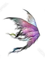Fluffy wings