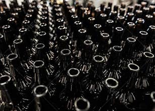 Beer bottles prepared for filling