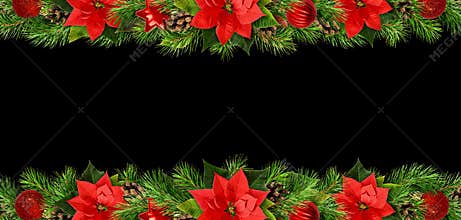 Christmas borders with red pionsettia flowers, pine twigs and de