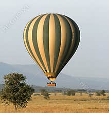 Hot air balloon