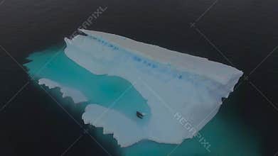 Animals swim in the bay on an iceberg. Andreev.