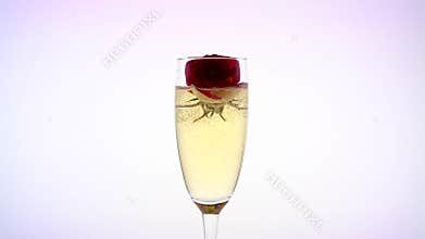 Scarlet rose bud inside sparkling champagne glass. White background
